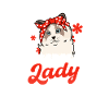Rescue,adoption,adopt,Cat,Meow,Kid,Gatto,Kitty,Tor