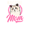 Ragdoll Chat Ragdoll Maman