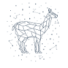 Sternbild Alpaca Constellation Llama Vicuna