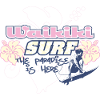 surf the paradise