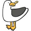 Gierige Möwe