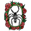 Spider Roses