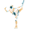 Figure skating