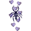 Spider Amour