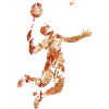 Badminton