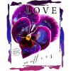 Violettes avec galaxie pour la Saint-Valentin
