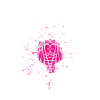 I Just Really Like Cicadas