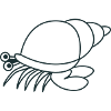 hermit crab