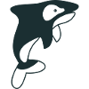 killer whale jumping
