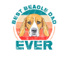 Beagle Father