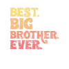 Big Brother