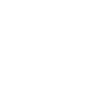 Every Vote Counts Election