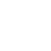 Big Brother Twins