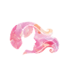 Bans Off Our Bodies