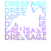 Dressage Retro Gift