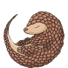 Coffee Then Pangolins Pangolin