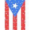 8bit Puerto Rico