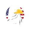 Detroit