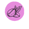 Coffee Coffee Bean