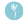 Leek