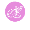Coffee Coffee Bean