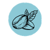 Coffee Coffee Bean