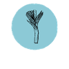 Leek