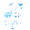 freedom,flock of birds,peace,freedom,deaf,clouds