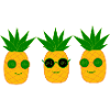 Pineapple Summer Festival