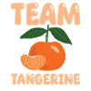Team Mandarin