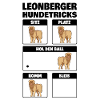Leonberger Hundetricks