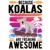 Koala Koala Ours