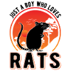 Ratte Junge Hausratte Geschenk