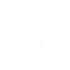 Project Pigeon Discovery