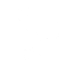 Missile Pigeon