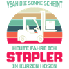 Lagerarbeiter Logistiker Stapler Staplerfahrer