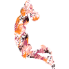 Basket-ball