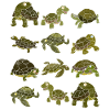 Schildkröte