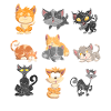 Katze
