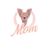 Sphynx Chat Sphynx Maman