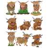 Scottish Highland Cattle