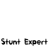 Wheelchair Stunt Expert