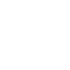 Terrier noir russe