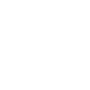Pin-Tzu