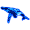 Méduse Baleine Bleue Lumineuse
