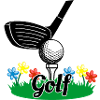Golf stick