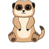 Meerkat Lover Gift Funny Animals