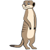 Meerkat Lover Gift Funny Animals