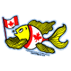 Canadian Flag Fish