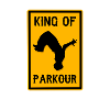 King of parkour